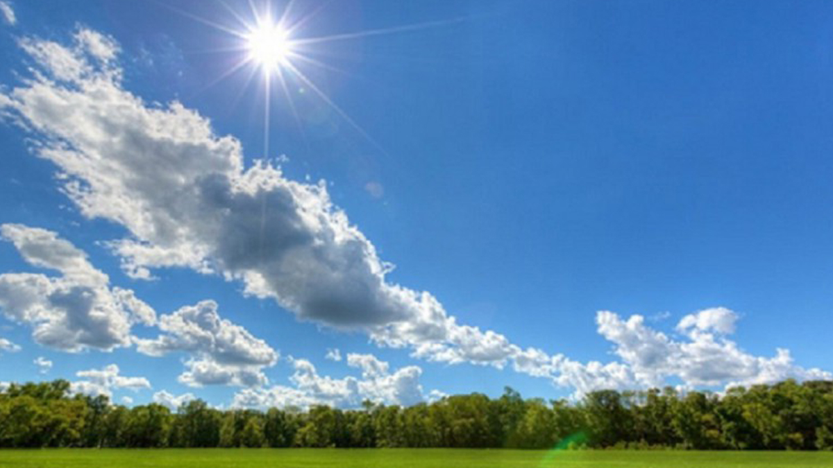 Mausam Safa