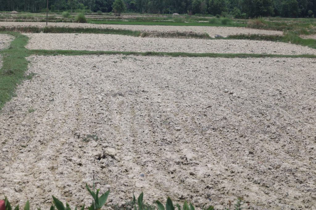 madhes pradesh sukhha 2 1024x681 1