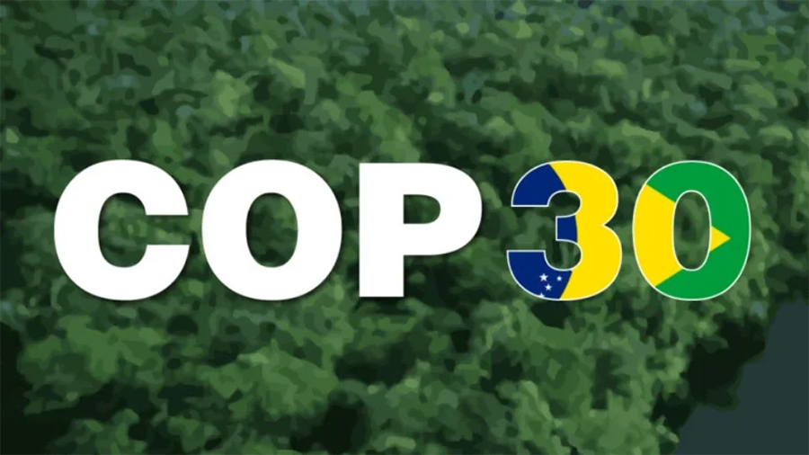 Cop 30