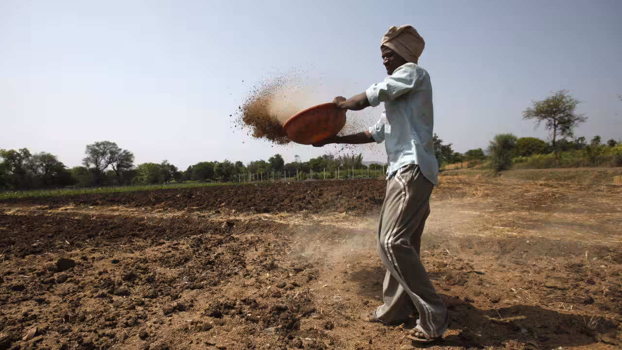 kisan