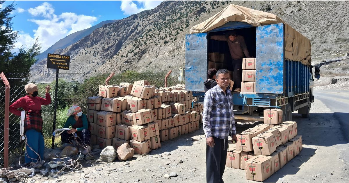 मुस्ताङमा ३० प्रतिशत मात्रै स्याउ निकासी, सडक अवरुद्ध हुँदा किसानलाई समस्या