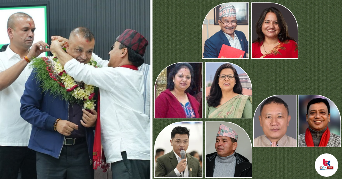 canva 5 6