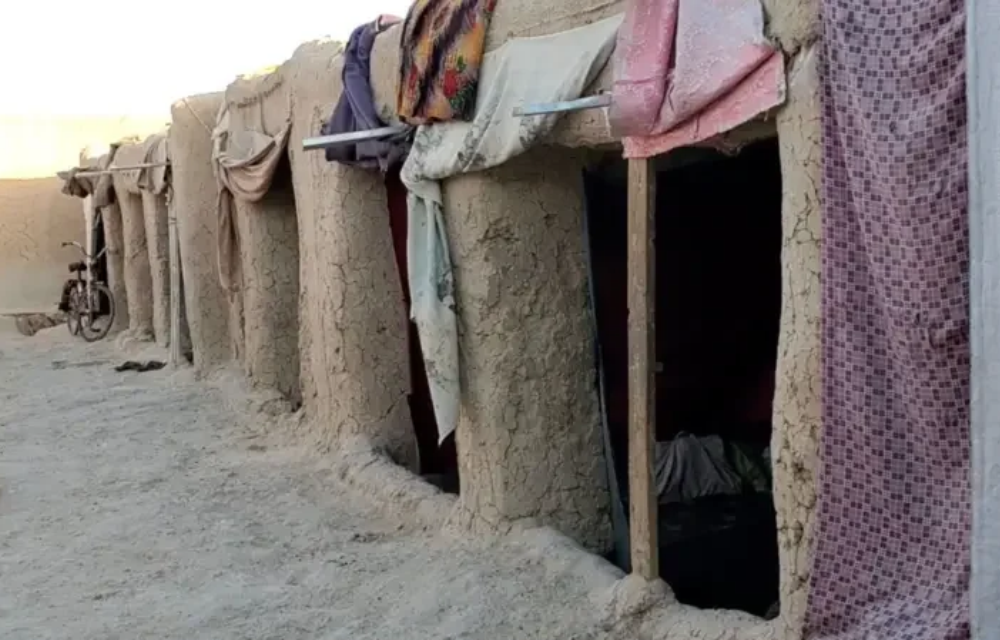 mohamud sadik rooms
